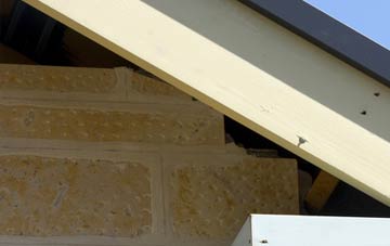 soffit repair Sholing Common